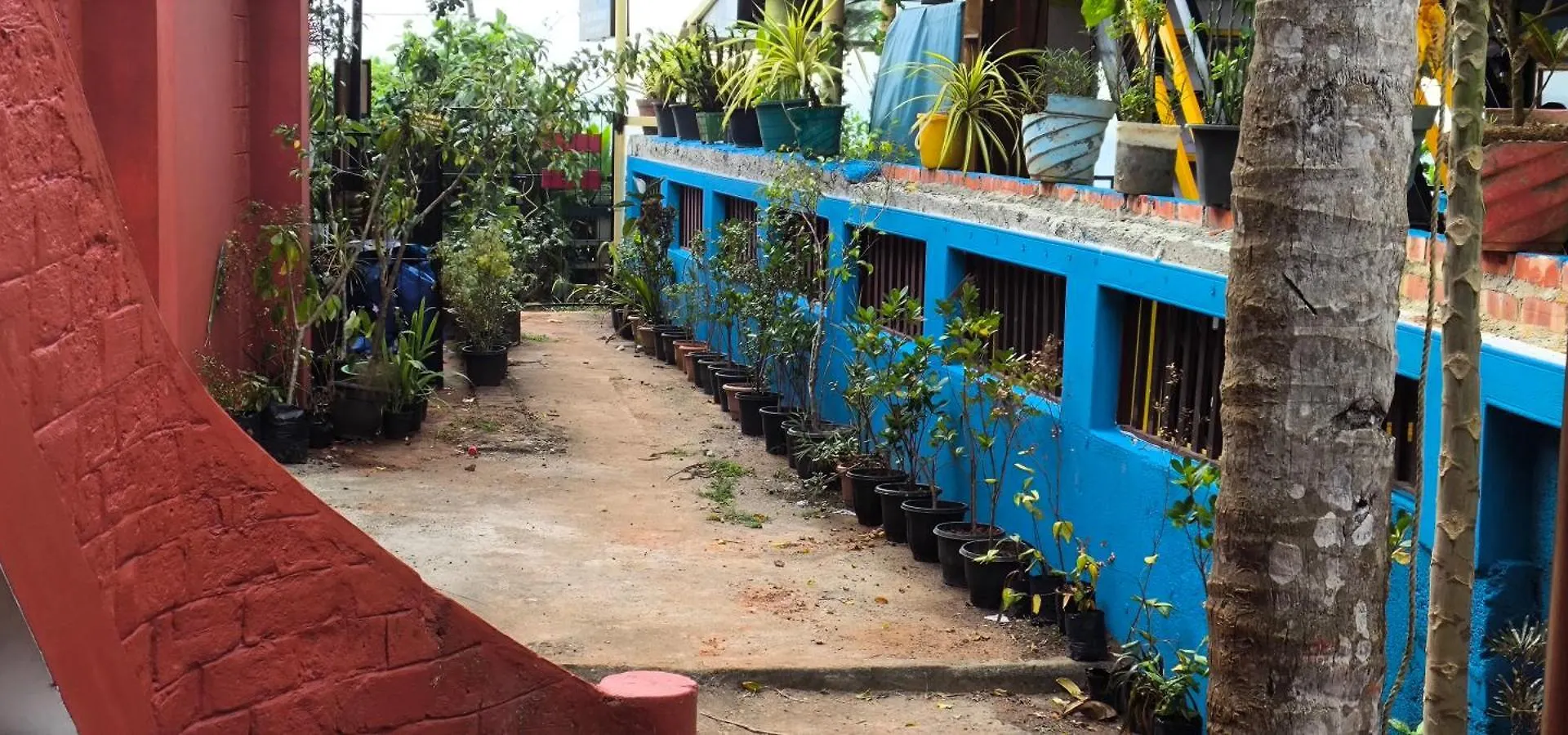 Tiny Temple Hotell Varkala